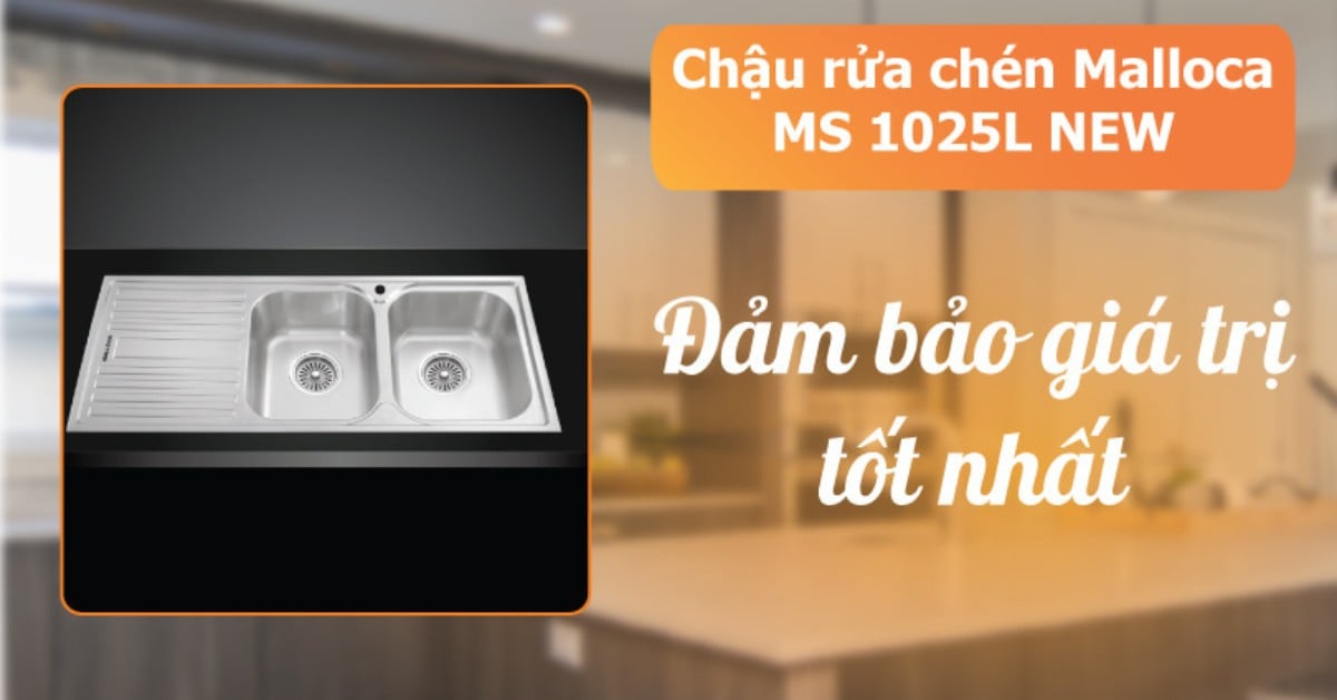 Chậu rửa chén Malloca MS 1025L NEW