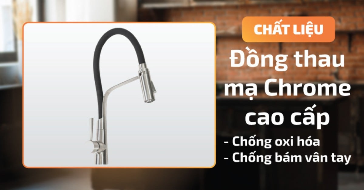 Vòi rửa chén Malloca K596S
