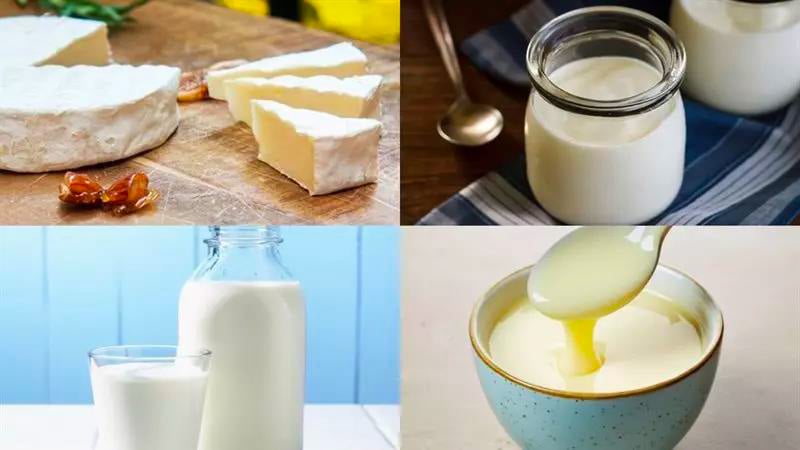 Nguyên liệu làm sữa chua phô mai