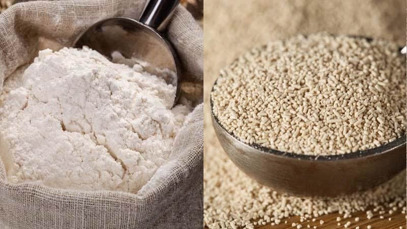 Bột mì và men nở