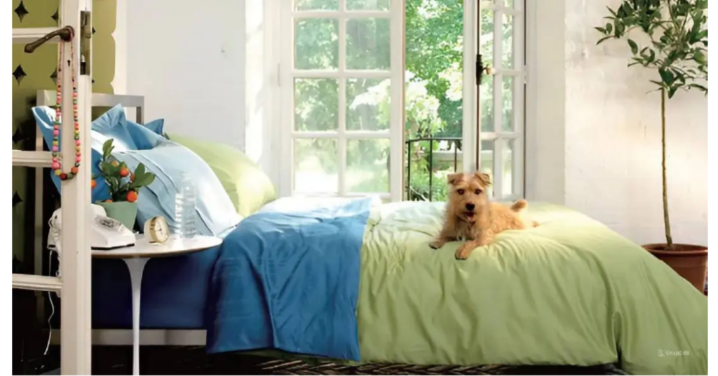 Chế độ PET Mode lý tưởng cho gia đình có thú cưng