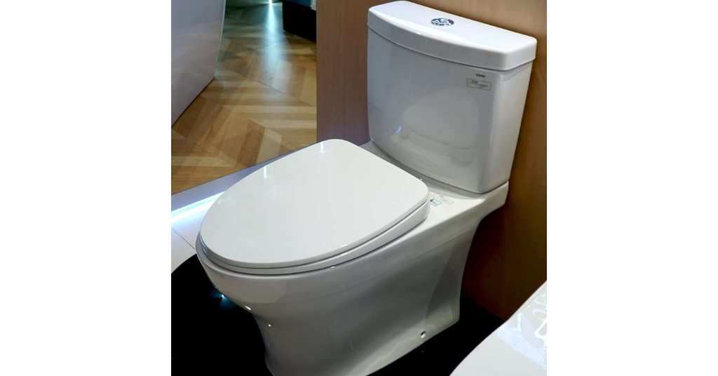 Đặc điểm nổi bật
