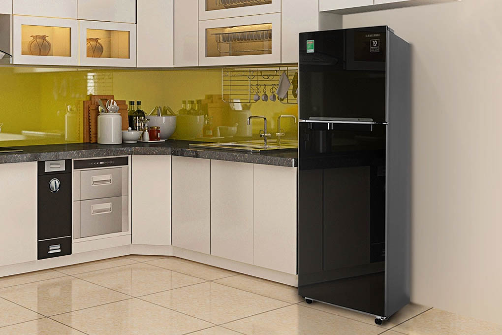 Tủ lạnh Samsung RT25M4032BU/SV
