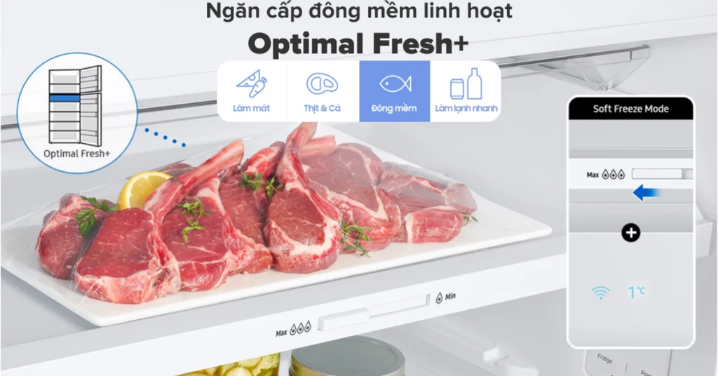 Ngăn đông mềm linh hoạt Optimal Fresh+ với 4 chế độ bảo quản