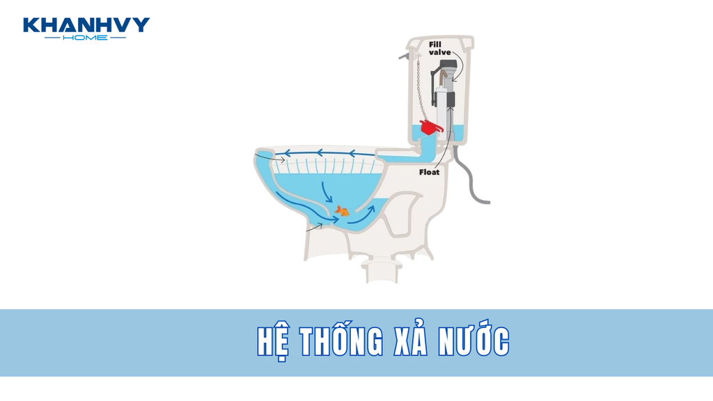 Hệ thống xả nước