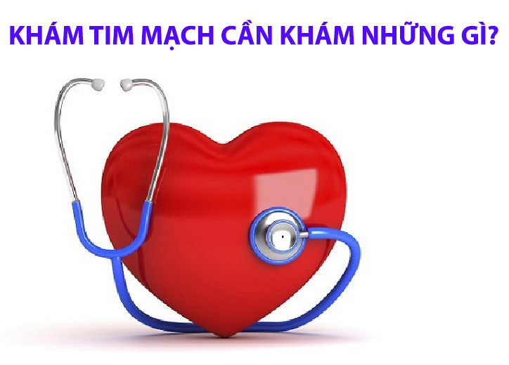 Khám tim mạch cần khám những gì, khi nào cần đi khám?