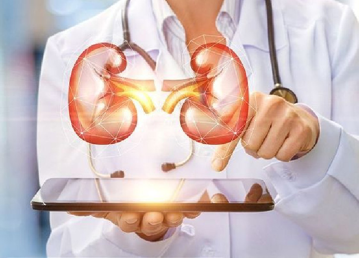 Cách phục hồi thận yếu tại nhà an toàn