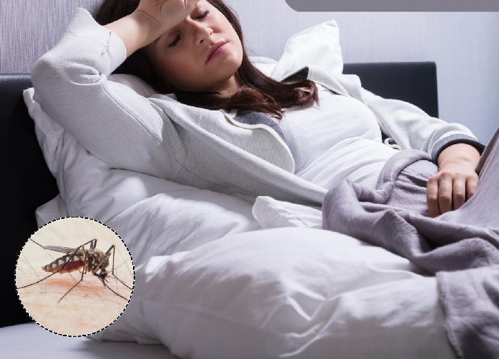 Sốt xuất huyết làm gì cho nhanh khỏi? Cách phòng tránh bệnh