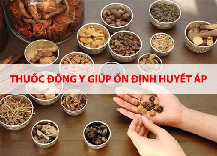 Các bài thuốc Đông y giúp ổn định huyết áp hiệu quả