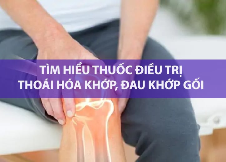 Nhóm thuốc điều trị thoái hóa khớp, đau khớp gối