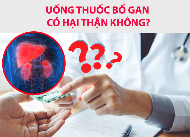Uống thuốc bổ gan có hại thận không?