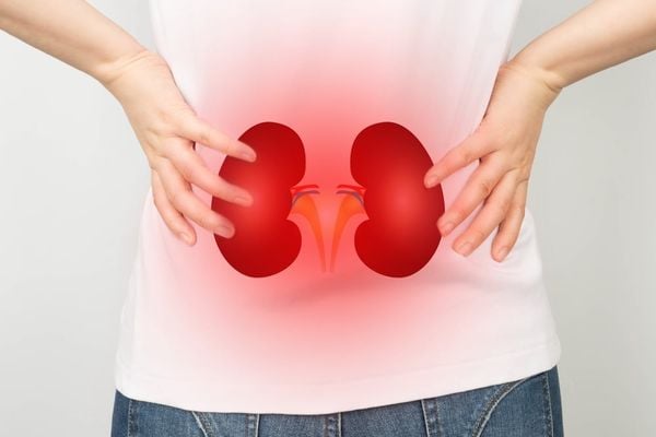 Bệnh thận là gì?