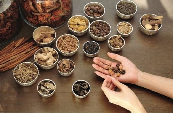 Thuốc đông y chữa thoái hóa khớp