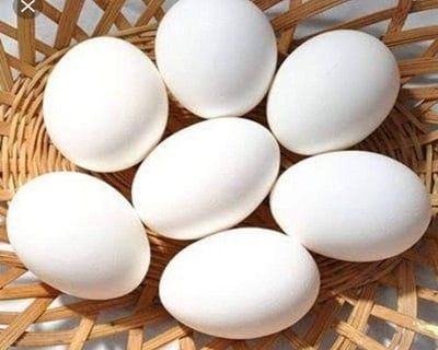 Trứng tốt cho sức khỏe gan
