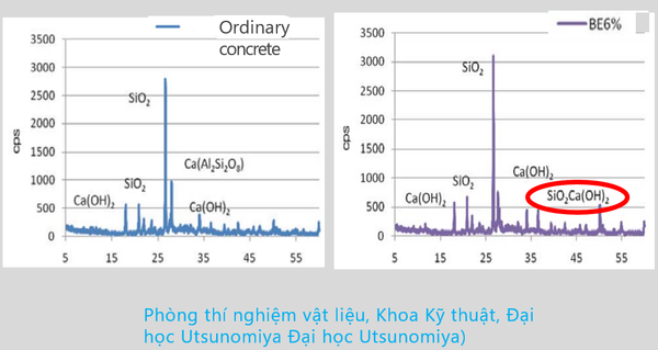 Tác dụng tự chữa lành vết nứt – C G Engineering