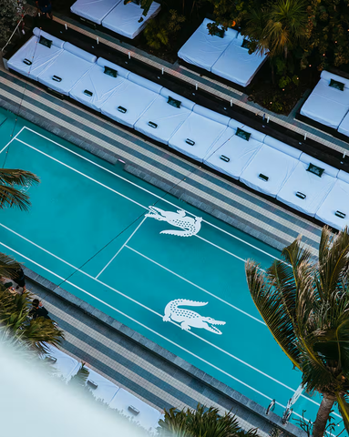 Hình ảnh bài viết