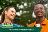 Có Nên Chọn Tròng Kính Kodak? Ưu Điểm & Cách Lựa Chọn Phù Hợp