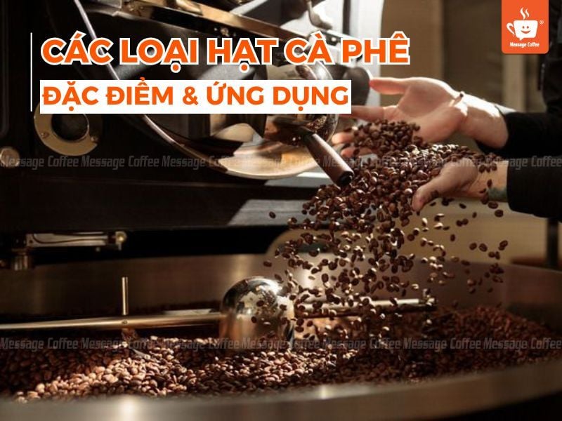 Các Loại Hạt Cafe - Đặc Điểm Và Ứng Dụng Trong Pha Chế