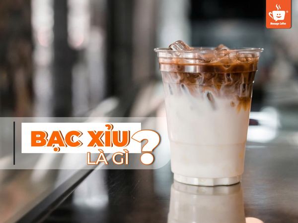 Bạc Xỉu Là Gì? Nguồn gốc và ý nghĩa tên gọi Bạc Xỉu