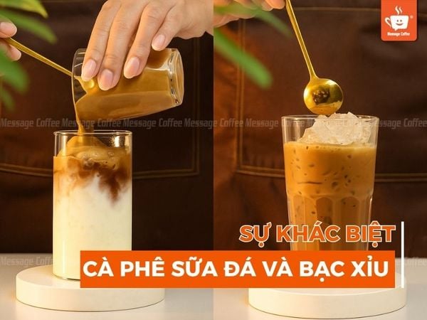 Sự khác biệt giữa cafe sữa đá và bạc xỉu: Nguồn gốc và công thức pha chuẩn vị