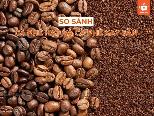 So sánh cà phê hạt và cà phê xay sẵn: Đâu là lựa chọn tối ưu cho bạn?