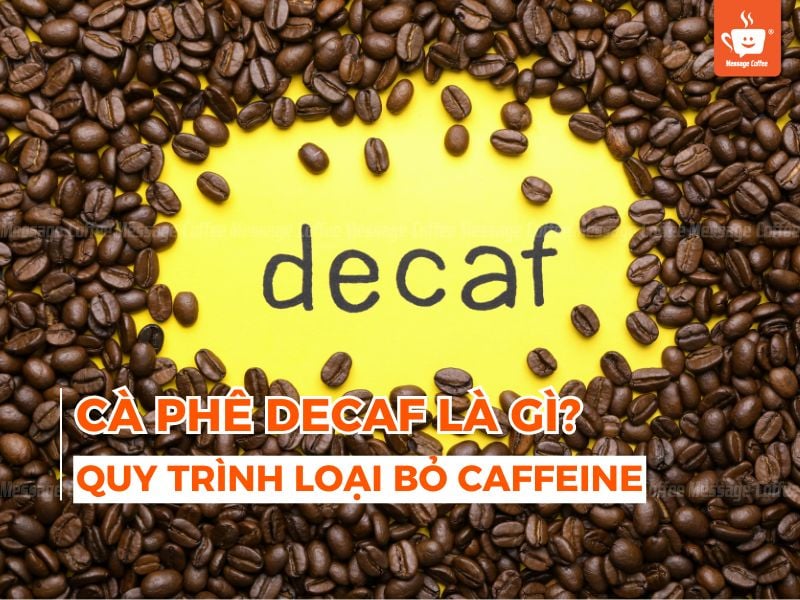 Cà phê Decaf là gì? Quy trình loại bỏ caffeine trong sản xuất cafe decaf