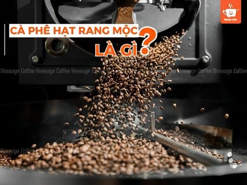 Cà phê hạt rang mộc là gì? Quy trình sản xuất và cách nhận biết cà phê hạt rang mộc
