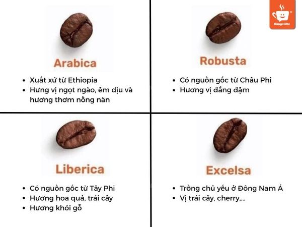Các loại hạt cà phê