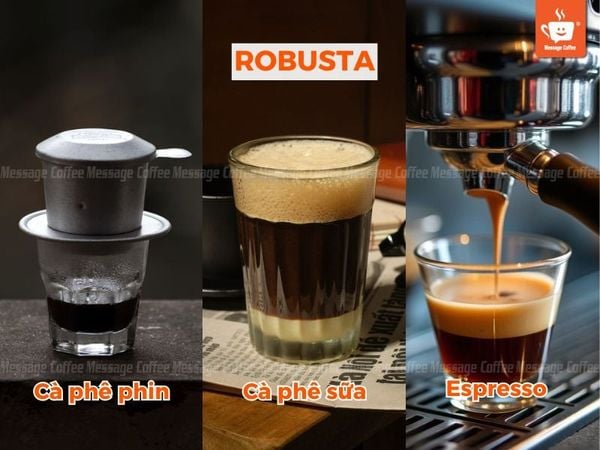 cách pha cafe Robusta
