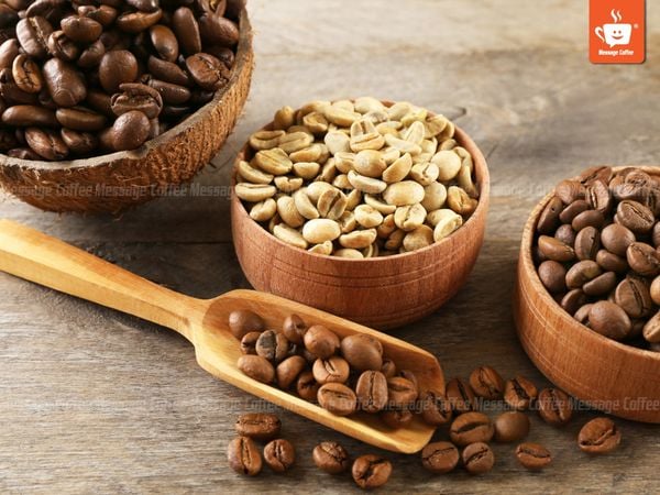 giai đoạn tuyển chọn hạt cà phê