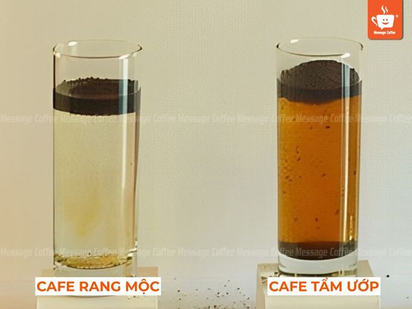 Kiểm tra cà phê trong nước