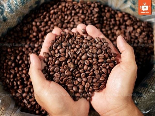 Cách Bảo Quản Cà Phê Hạt Đúng Cách Để Giữ Trọn Hương Vị