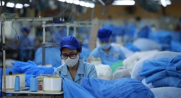 đồ họa miêu tả giải quyết tranh chấp hợp đồng lao động