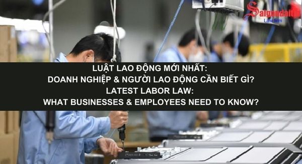 đồ họa miêu tả doanh nghiệp và người lao động cần biết gì