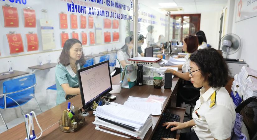 đồ họa miêu tả thuế của hộ kinh doanh