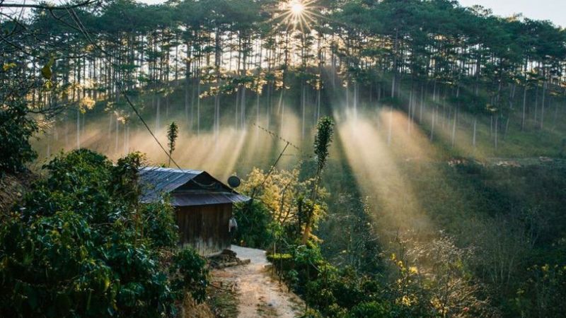 Du lịch D'ran hoang sơ và cũng cực trữ tình. – Công ty Cổ phần Sài Gòn ...