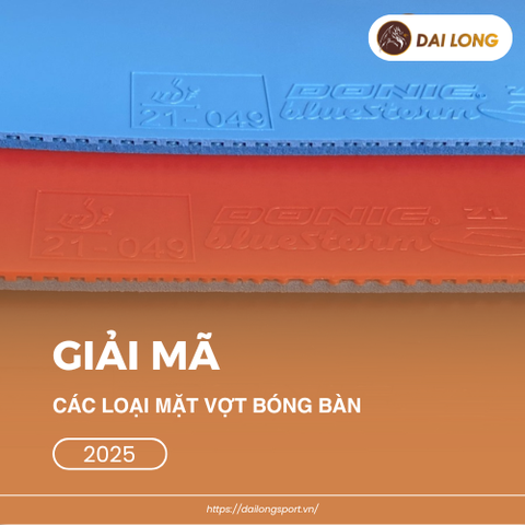Giải mã các loại mặt vợt bóng bàn 2025: Từ 
