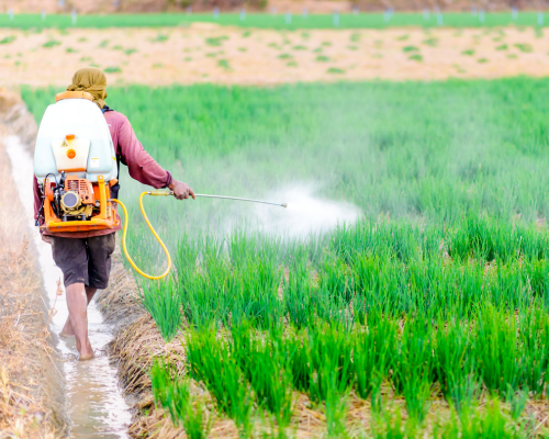 Ống áp lực cao cá sấu - Lựa chọn hàng đầu trong ứng dụng phun xịt