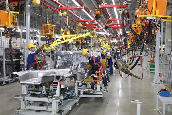 Ống cao su ngành ô tô gồm những loại ống nào?