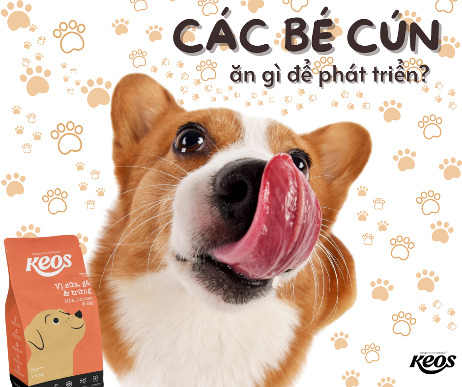 CÁC BÉ CÚN ĂN GÌ ĐỂ PHÁT TRIỂN?
