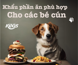 KHẨU PHẦN ĂN CHO CÚN THẾ NÀO LÀ HỢP LÝ?