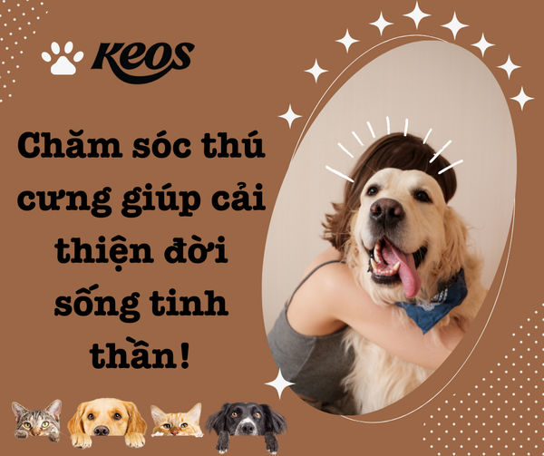 Giảm Stress hiệu quả nhờ nuôi boss!