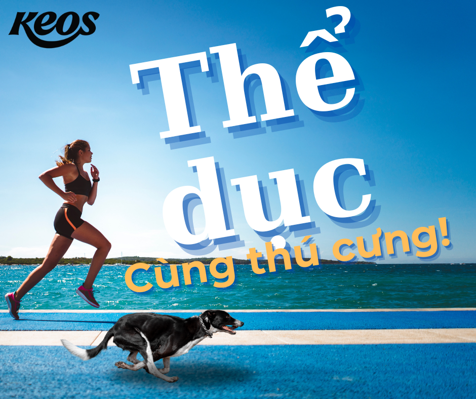 Tập luyện thể thao cùng thú cưng!