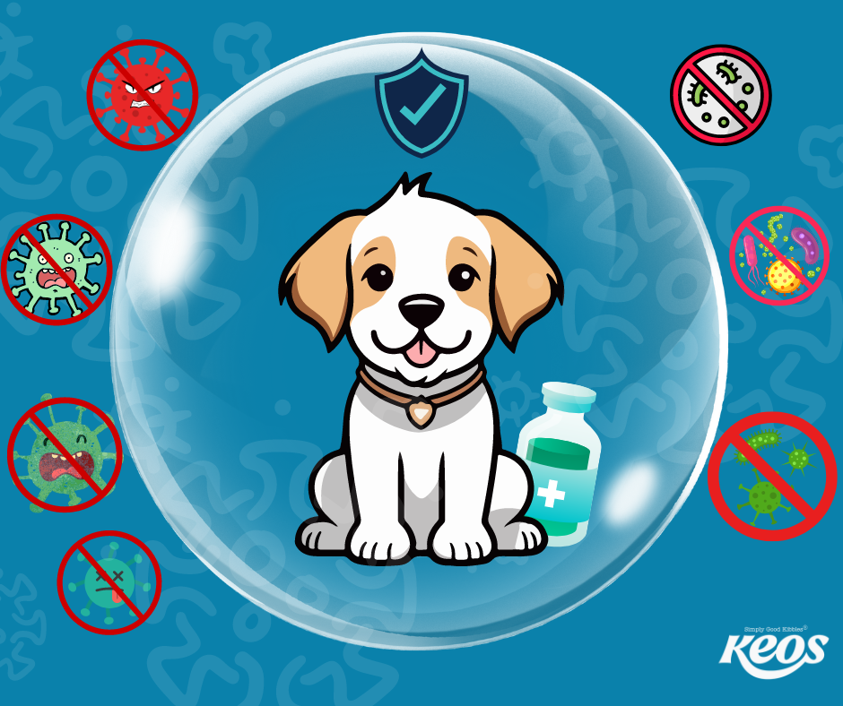 TẠI SAO NÊN TIÊM PHÒNG CHO CÁC BÉ THÚ CƯNG