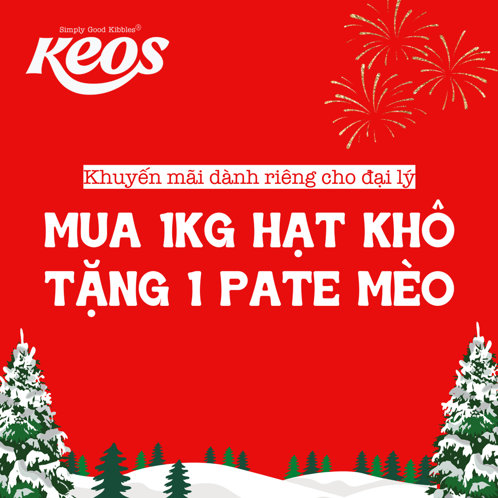 KHUYẾN MÃI DÀNH CHO ĐẠI LÝ THÁNG 12/2024