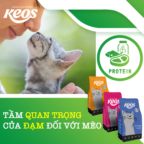 TẦM QUAN TRỌNG CỦA ĐẠM ĐỐI VỚI MÈO