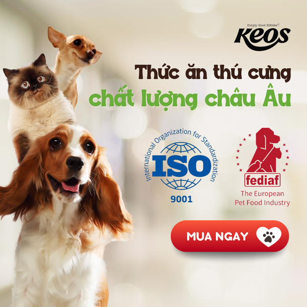 Thức ăn thú cưng Keos đạt chất lượng FEDIAF và ISO 9001