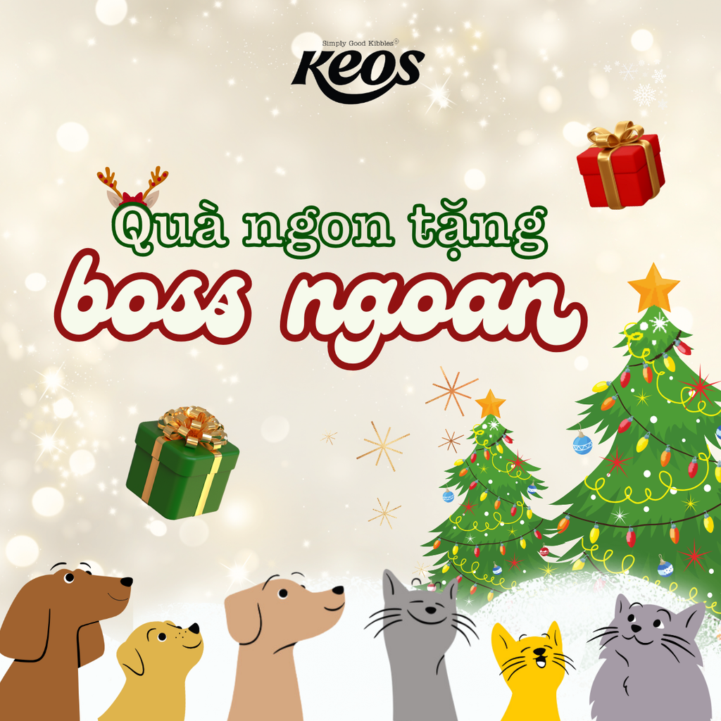 KEOS MỪNG GIÁNG SINH - 