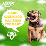 CÁCH CHĂM SÓC CÁC BOSS CƠ BẮP