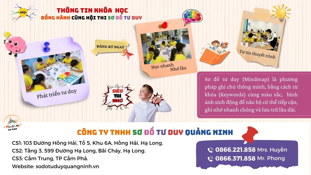 KHÓA HỌC ĐỒNG HÀNH HỘI THI SƠ ĐỒ TƯ DUY NĂM HỌC 2024 - 2025